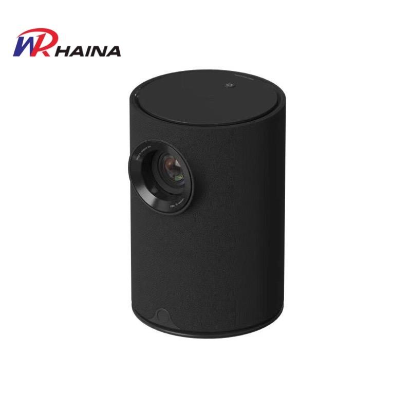 OEM Portable Projector